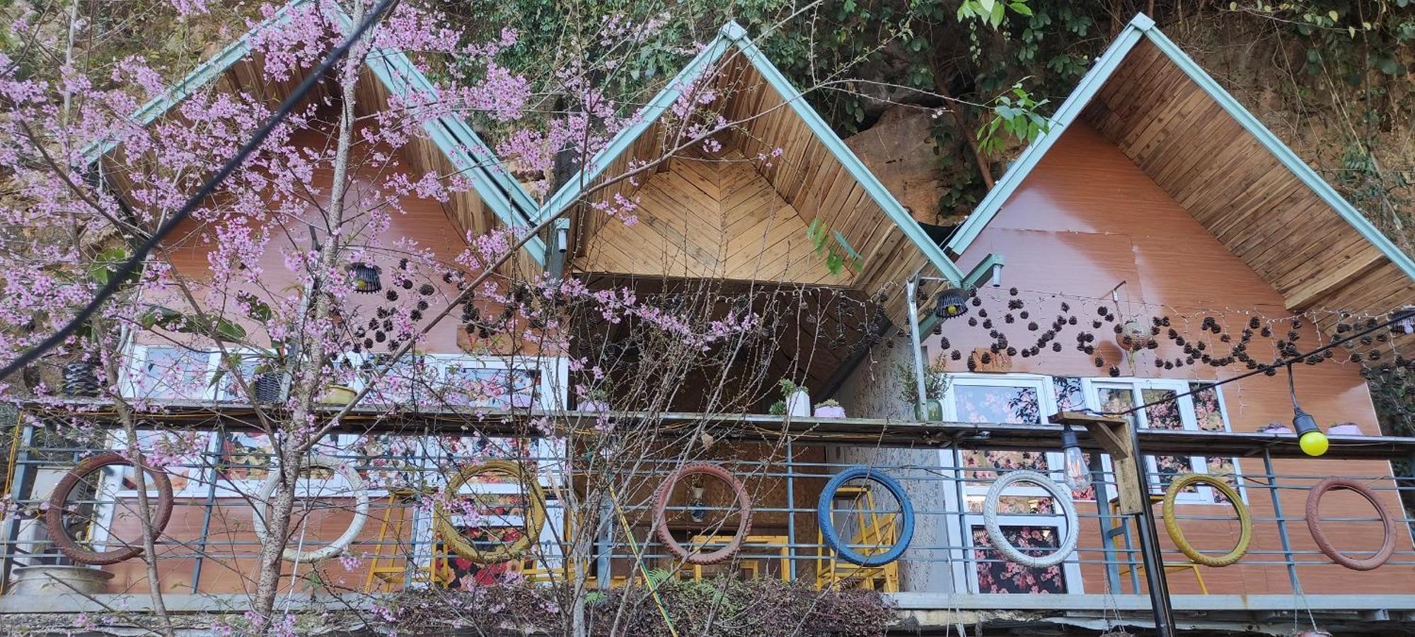 Homestay Gau Smile - Moc Chau Son La 외부 사진